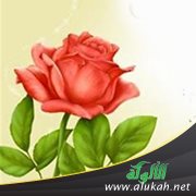 الرفق خلق معلمي الخير 